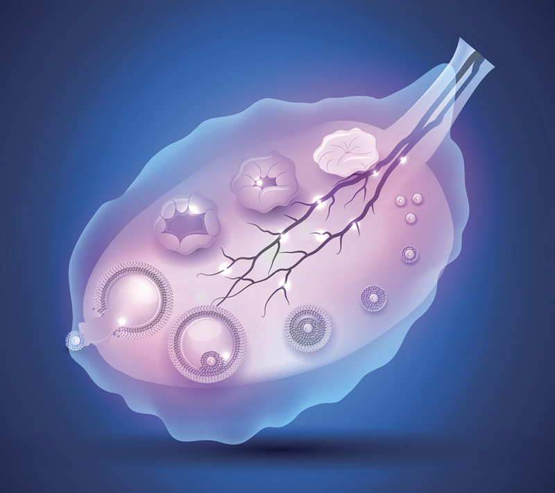 三代试管婴儿价格多少私立医院可信度高吗？
